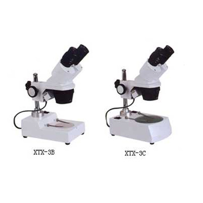 兩檔帶上下光源顯微鏡 xtx3c