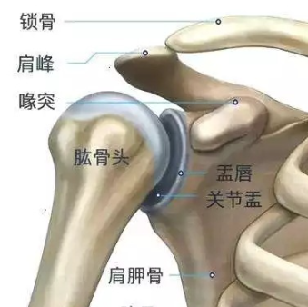 肩關節系統-肱骨柄comprehensive fracture shoulder system